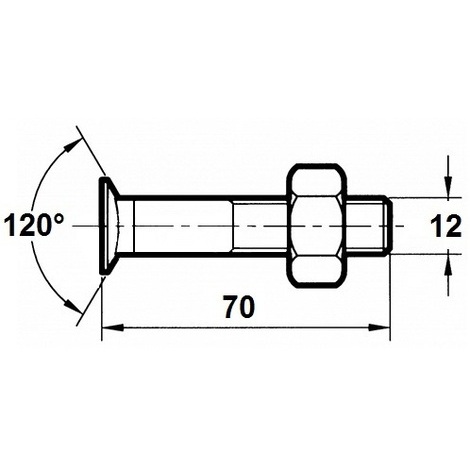 VITE X ARATRO TSPQST 12X70 DX PZ.50