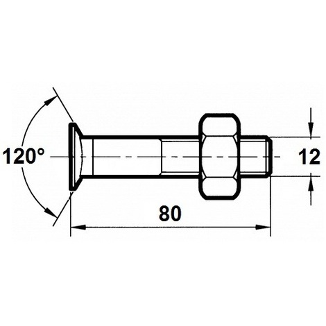 VITE X ARATRO TSPQST 12X80 DX PZ.50