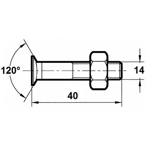 VITE X ARATRO TSPQST 14X40 PZ.25