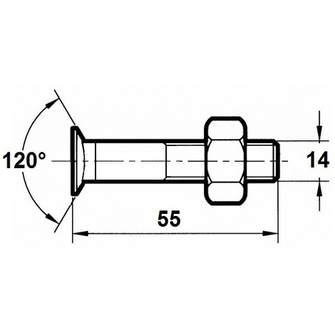 VITE X ARATRO TSPQST 14X55 DX PZ.50