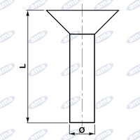 Ribattini a testa piana  5,2X13mm