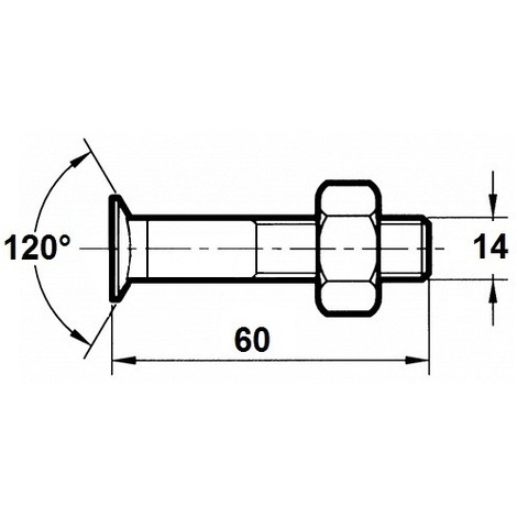 VITE X ARATRO TSPQST 14X60 DX PZ.50