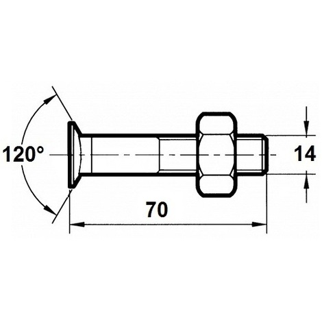 VITE X ARATRO TSPQST 14X70 DX PZ.50