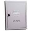 Sportello  contatore  gas - Acciaio  zincato  cm  45x60