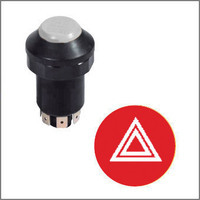 Interruttore tipo pneutron