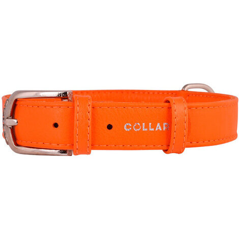 19-25 cm x 9 mm collare glamour arancio in pelle per cane - collarino cani fibbia