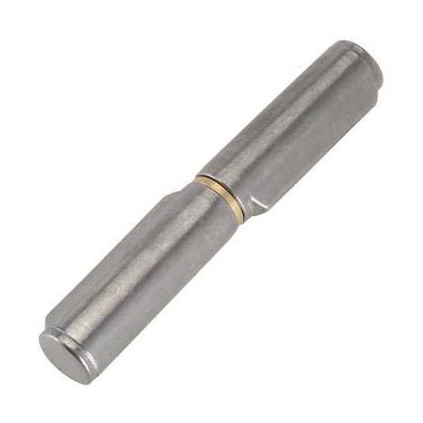 Cerniera  costa  a  saldare  256  combi - Perno  e  rondella  ottone  mm  22x25x150
