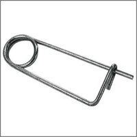 Molla fermaganci      d.4