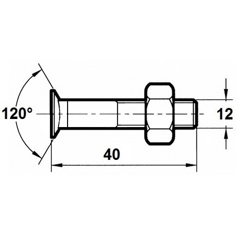 VITE X ARATRO TSPQST 12X40 DX PZ.50