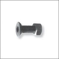 Bullone 14x50 tp svasata c/foro esag.