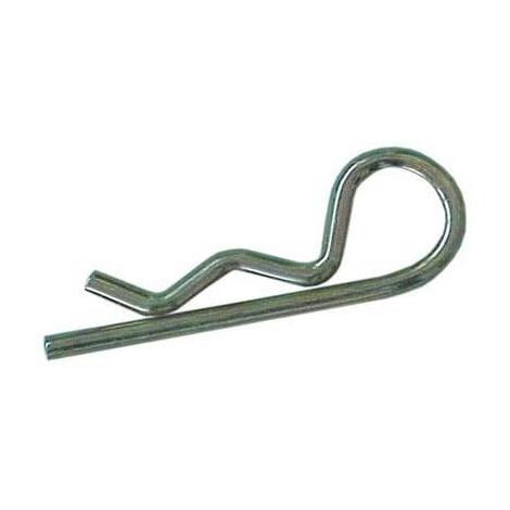 Coppiglia  elastica - Mm  3