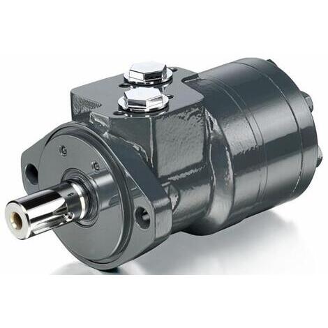 Motori orbitali DANFOSS serie WR250 con albero cilindrico 25mm e flangia SAE A