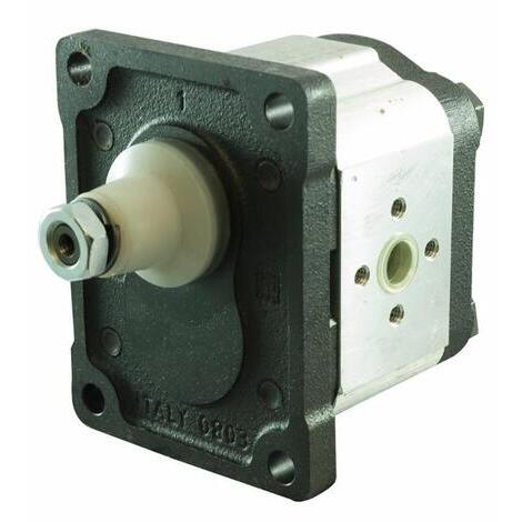 Pompa ad ingranaggi gruppo 2 da 16cc destra ��MADE IN ITALY�� con coperchio e base in ghisa, corpo in alluminio. Flangia standard Europea ad albero conico 1:8. Attacchi a flangia.