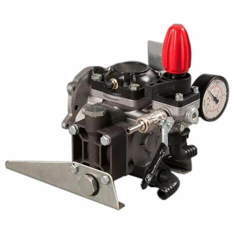 Pompa PRO 25/30, Pompa con due membrane semidrauliche, collettori interni, valvola di regolazione incorporata e testate ossidate anticorrosione. Standard con riduttore per accoppiamento monoblocco a motori a scoppio motopompe. - 22 l/min, 30bar