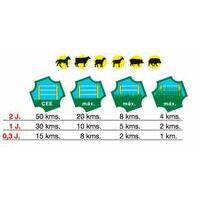 Elettrificatore Ranch AMA BT200 per recinti con alimentazione a 9/12/230 Volt, Lunghezza massima del recinto 20 Km, energia di carica 3 Joule